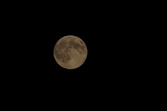 moonlight - Nuit de la super Lune
