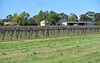 Farm 1438 Kearey Road, Bilbul NSW