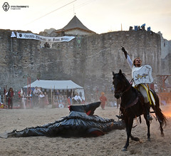 16 August 2014 » Festivalul de Artă Medievală Ștefan cel Mare