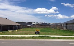 Lot 231 Dragonfly Drive, Chisholm NSW