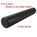 Foam Roller • <a style="font-size:0.8em;" href="http://www.flickr.com/photos/127152976@N07/15012438678/" target="_blank">View on Flickr</a>