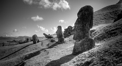 A field of moai