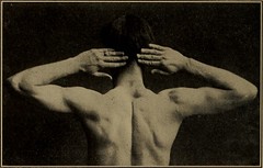 Anglų lietuvių žodynas. Žodis greater rhomboid muscle reiškia didesnė raumenų rhomboid lietuviškai.