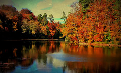 Autumn at the Lake, 73070/3996