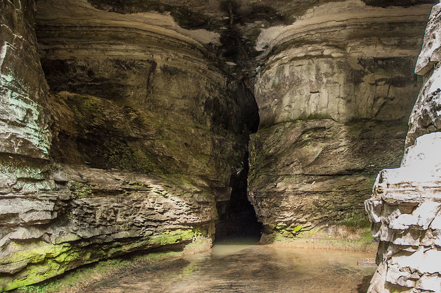 Donaldson's Cave Nature Preserve - Spring Mill State Park - June 8, 2014