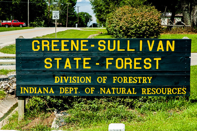 Greene-Sullivan State Forest - August 12, 2014
