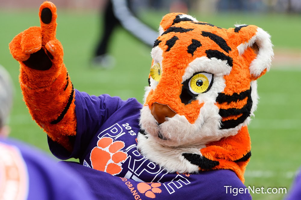 Clemson Football Photo of thecitadel and The Tiger