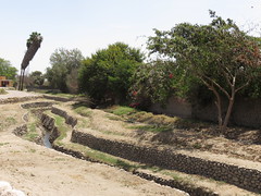 irrigation inca • <a style="font-size:0.8em;" href="http://www.flickr.com/photos/128043923@N02/15337753072/" target="_blank">View on Flickr</a>