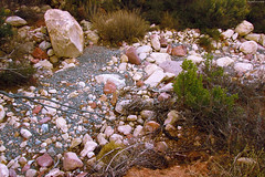 A river of stones and pebbles • <a style="font-size:0.8em;" href="http://www.flickr.com/photos/34843984@N07/15360203289/" target="_blank">View on Flickr</a>