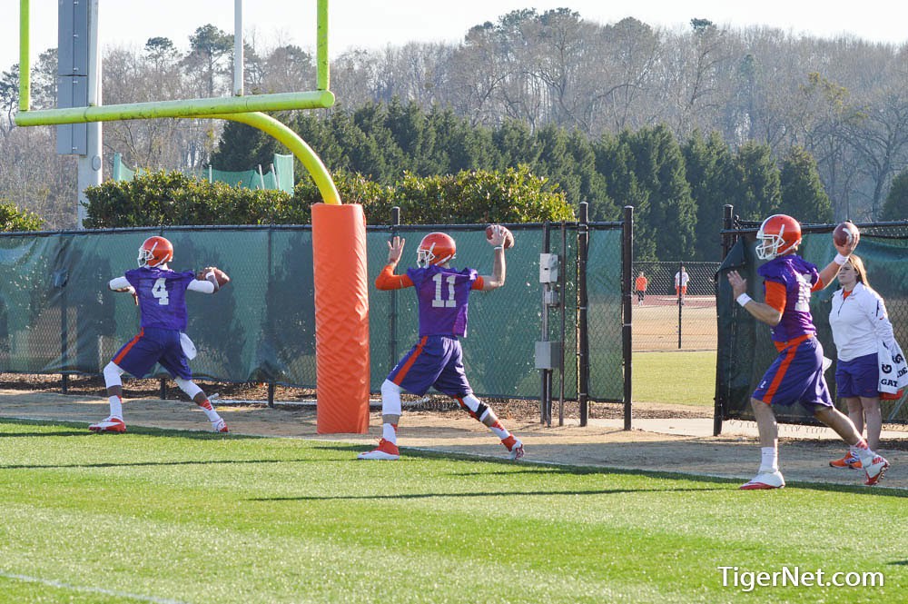 Clemson  Photo of Chad Kelly and Cole Stoudt and Deshaun Watson
