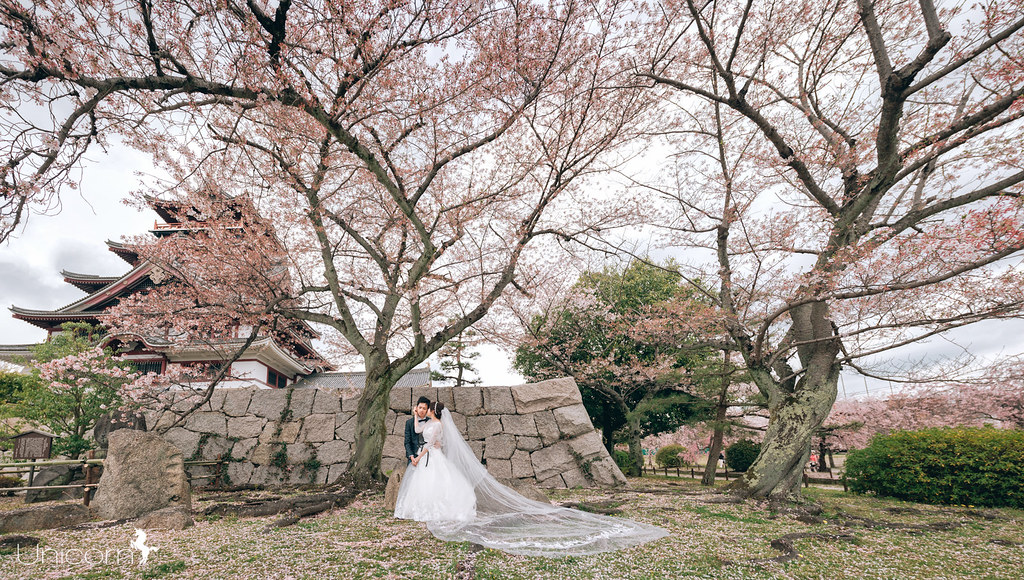 《京都婚紗》Kelson & 子芳 / 京都 Kyoto