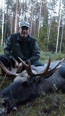 Moose Hunting Estonia
