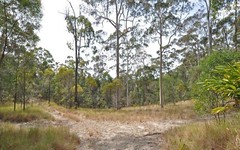 1657 Tamborine-Oxenford Road, Wongawallan QLD