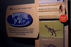 Continents at the Paleocene Epoch • <a style="font-size:0.8em;" href="http://www.flickr.com/photos/34843984@N07/15540883672/" target="_blank">View on Flickr</a>