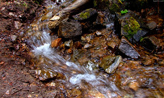 Very narrow stream running over brown pebbles • <a style="font-size:0.8em;" href="http://www.flickr.com/photos/34843984@N07/15545111785/" target="_blank">View on Flickr</a>
