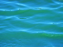 Green Waves (alt color) • <a style="font-size:0.8em;" href="http://www.flickr.com/photos/34843984@N07/15423412035/" target="_blank">View on Flickr</a>