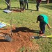 Highland_Renaissance_Tree_Planting_Event_2017 (36)