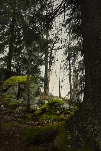 J • <a style="font-size:0.8em;" href="http://www.flickr.com/photos/60821384@N05/33733190645/" target="_blank">View on Flickr</a>