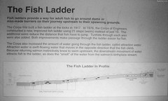 Sign explaining the Fish Ladder • <a style="font-size:0.8em;" href="http://www.flickr.com/photos/34843984@N07/15358819909/" target="_blank">View on Flickr</a>