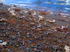 Brown Leaves on Rainbow Rocks • <a style="font-size:0.8em;" href="http://www.flickr.com/photos/34843984@N07/15424797232/" target="_blank">View on Flickr</a>