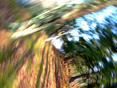 Forest Path Vortex • <a style="font-size:0.8em;" href="http://www.flickr.com/photos/34843984@N07/15238544108/" target="_blank">View on Flickr</a>