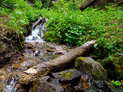 Small Stream running over pebbles • <a style="font-size:0.8em;" href="http://www.flickr.com/photos/34843984@N07/15359475580/" target="_blank">View on Flickr</a>