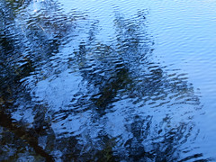 Ripples in Lake • <a style="font-size:0.8em;" href="http://www.flickr.com/photos/34843984@N07/15424849355/" target="_blank">View on Flickr</a>