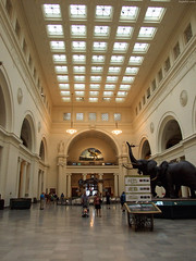 Field Museum Main Hall from floor • <a style="font-size:0.8em;" href="http://www.flickr.com/photos/34843984@N07/15537419941/" target="_blank">View on Flickr</a>