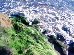 Frothy waves on Moss-covered Rocks • <a style="font-size:0.8em;" href="http://www.flickr.com/photos/34843984@N07/15546169875/" target="_blank">View on Flickr</a>