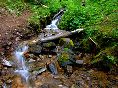 Small Stream running over pebbles (silky water) • <a style="font-size:0.8em;" href="http://www.flickr.com/photos/34843984@N07/15545951572/" target="_blank">View on Flickr</a>