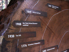 Major events marked on Tree Rings • <a style="font-size:0.8em;" href="http://www.flickr.com/photos/34843984@N07/15543778411/" target="_blank">View on Flickr</a>