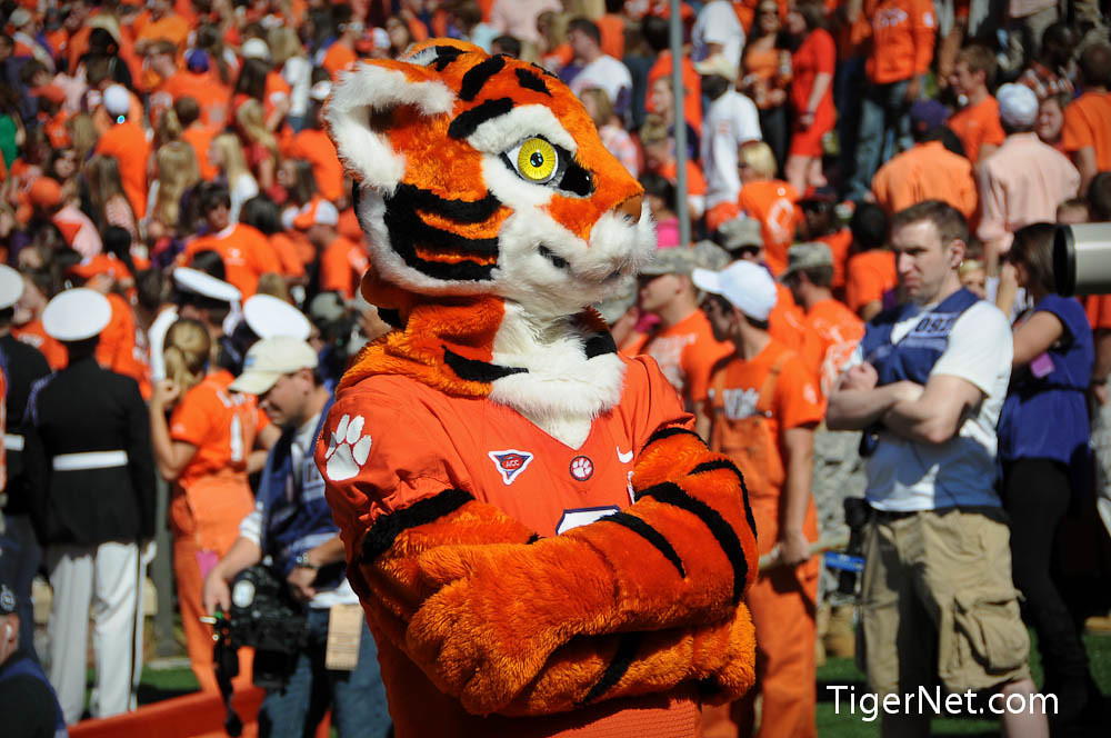 Clemson Football Photo of North Carolina and The Tiger