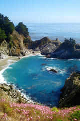 McWay Falls with a bluegreen bay & Pink Flowers below • <a style="font-size:0.8em;" href="http://www.flickr.com/photos/34843984@N07/15360148077/" target="_blank">View on Flickr</a>