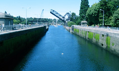 Looking west over the big Chittenden Lock toward Puget Sound • <a style="font-size:0.8em;" href="http://www.flickr.com/photos/34843984@N07/14925264843/" target="_blank">View on Flickr</a>