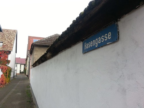 Hasengasse in Selzen