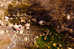 Mossy-green stream over desert rocks • <a style="font-size:0.8em;" href="http://www.flickr.com/photos/34843984@N07/15360806767/" target="_blank">View on Flickr</a>