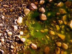 Mossy-green stream over desert rocks closeup • <a style="font-size:0.8em;" href="http://www.flickr.com/photos/34843984@N07/15360807037/" target="_blank">View on Flickr</a>
