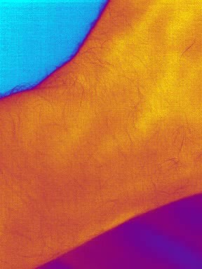 Arteries under the skin - thermal movie