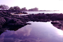 Tide Pool at Makalawena Beach • <a style="font-size:0.8em;" href="http://www.flickr.com/photos/34843984@N07/15360814697/" target="_blank">View on Flickr</a>