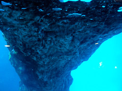 Rocky Formation in Aquarium • <a style="font-size:0.8em;" href="http://www.flickr.com/photos/34843984@N07/15516314636/" target="_blank">View on Flickr</a>