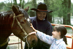 Anglų lietuvių žodynas. Žodis horse wrangler reiškia arklių wrangler lietuviškai.