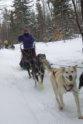 Dog Sledding & Ice Caves of Northern Michigan, March 2017