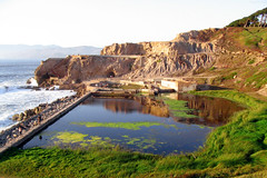Abandoned Sutro Baths filled with swamp grass • <a style="font-size:0.8em;" href="http://www.flickr.com/photos/34843984@N07/15360506098/" target="_blank">View on Flickr</a>