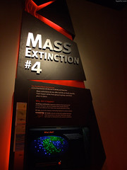 Mass Extinction #4 • <a style="font-size:0.8em;" href="http://www.flickr.com/photos/34843984@N07/15353896498/" target="_blank">View on Flickr</a>