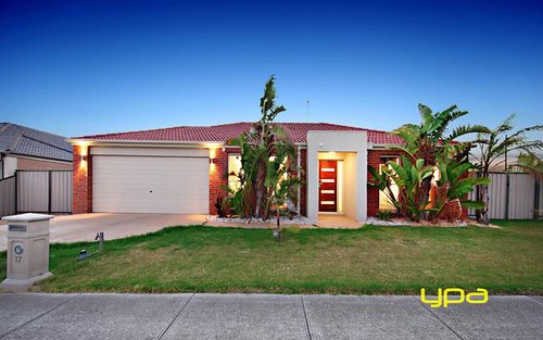 17 Wills Tce, Burnside Heights VIC 3023