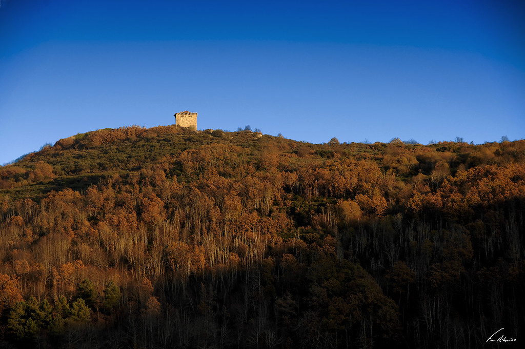 1600-castelo-monf (318)