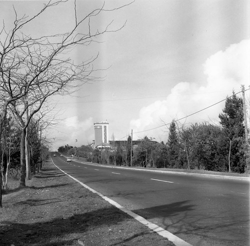 Estrada Lisboa-Sintra aos Cabos Ávila (A. Madureira, 1961). Archivo photographico da C.M.L.