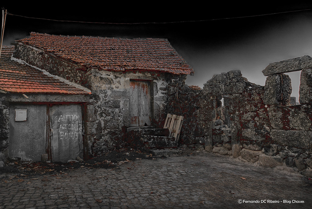 1600-travassos do rio (72) 1600-travassos do rio (72)