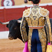 Looking at the matador