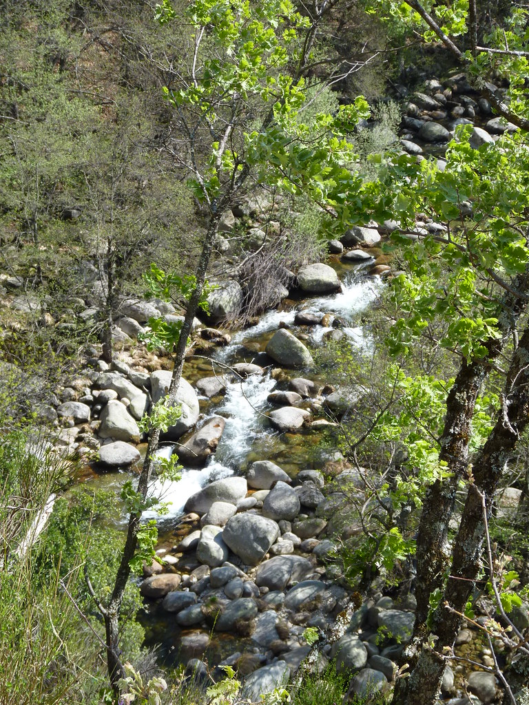Garganta de los Infiernos, Valle del Jerte (1)